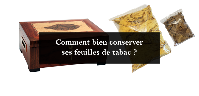 Comment bien conserver ses feuilles de tabac ?